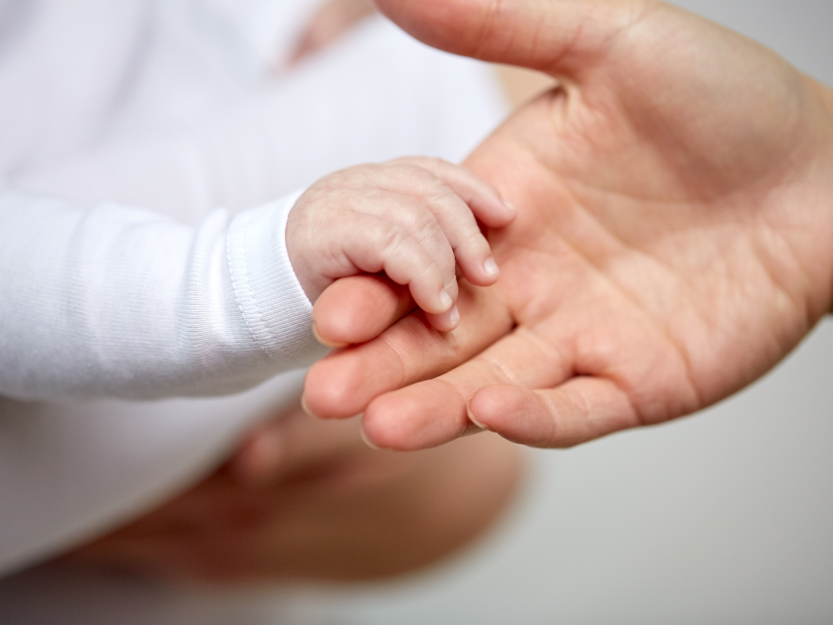 Petite main de bébé dans la main de sa mère